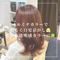 画像1097