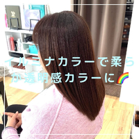 画像1137