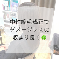 画像1206