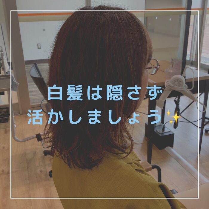 画像271