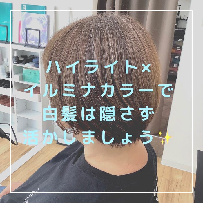 画像395