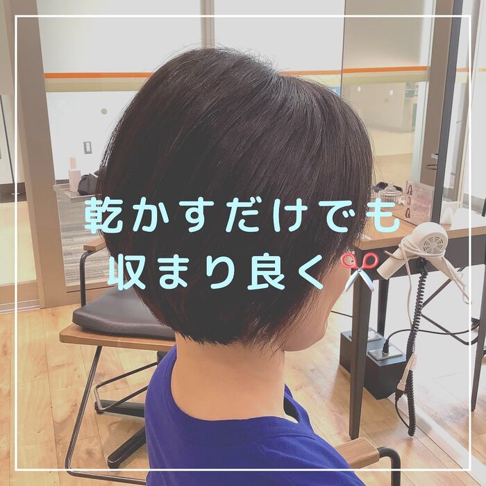 画像435