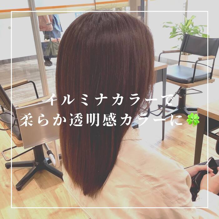 画像519