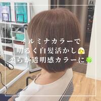 画像534