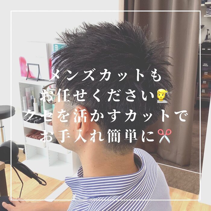 画像584